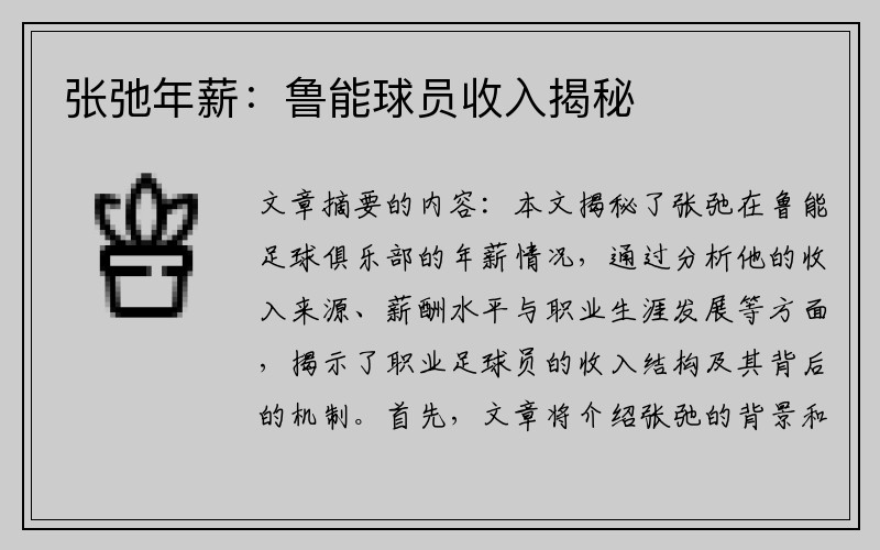张弛年薪：鲁能球员收入揭秘